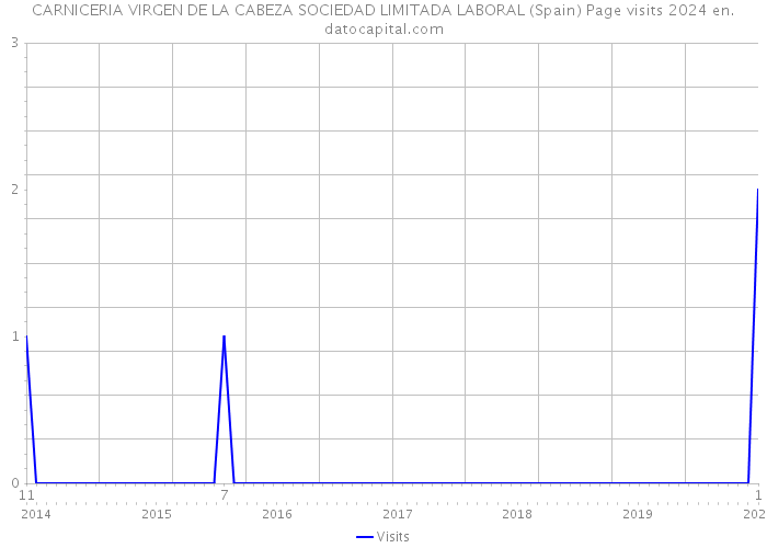 CARNICERIA VIRGEN DE LA CABEZA SOCIEDAD LIMITADA LABORAL (Spain) Page visits 2024 