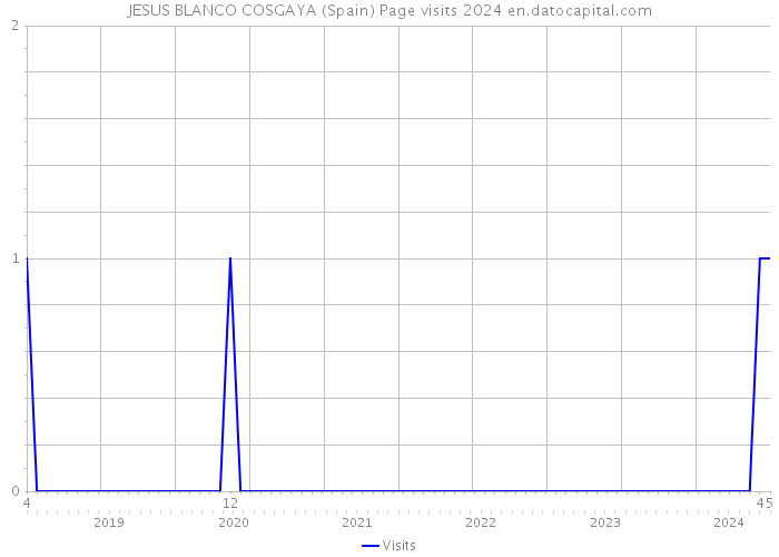 JESUS BLANCO COSGAYA (Spain) Page visits 2024 