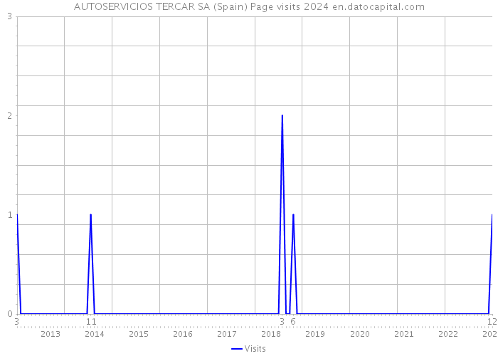 AUTOSERVICIOS TERCAR SA (Spain) Page visits 2024 