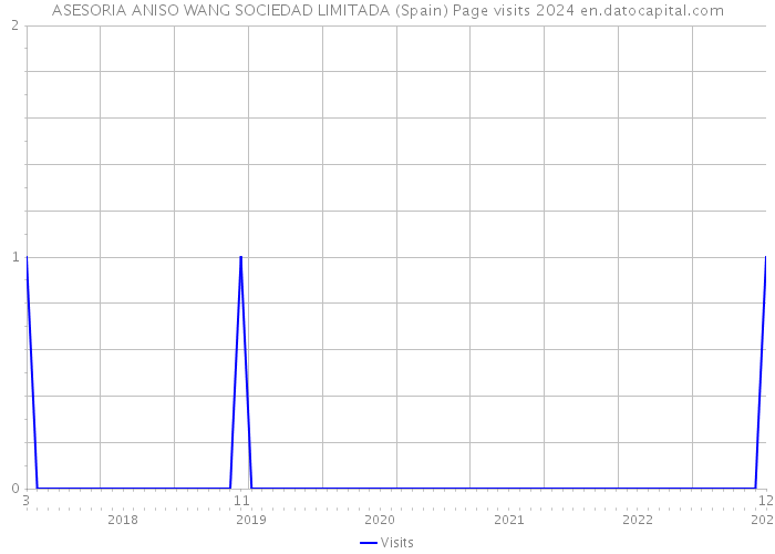 ASESORIA ANISO WANG SOCIEDAD LIMITADA (Spain) Page visits 2024 