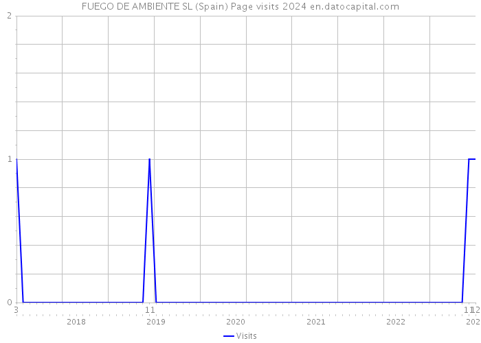 FUEGO DE AMBIENTE SL (Spain) Page visits 2024 