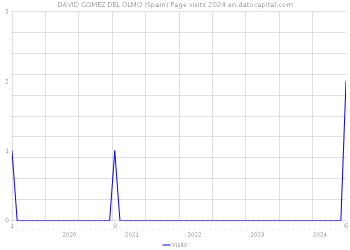 DAVID GOMEZ DEL OLMO (Spain) Page visits 2024 