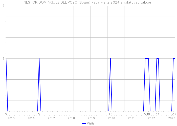 NESTOR DOMINGUEZ DEL POZO (Spain) Page visits 2024 