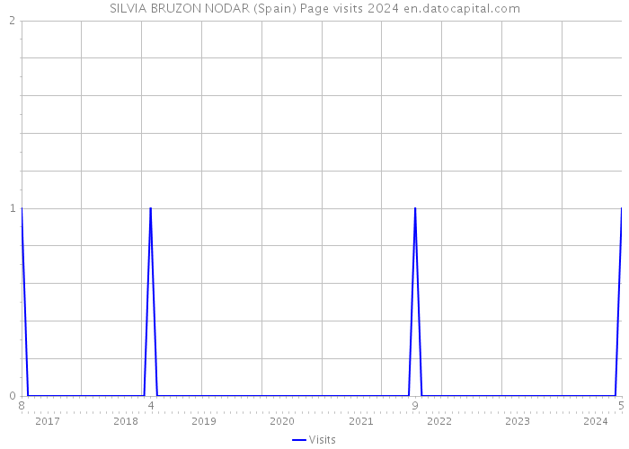 SILVIA BRUZON NODAR (Spain) Page visits 2024 