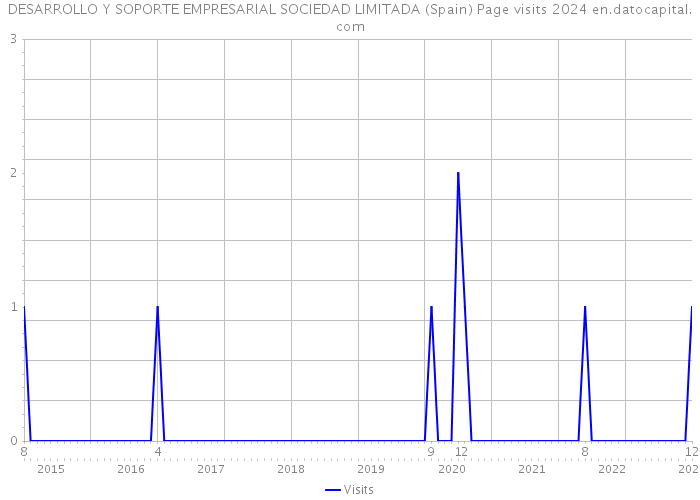 DESARROLLO Y SOPORTE EMPRESARIAL SOCIEDAD LIMITADA (Spain) Page visits 2024 