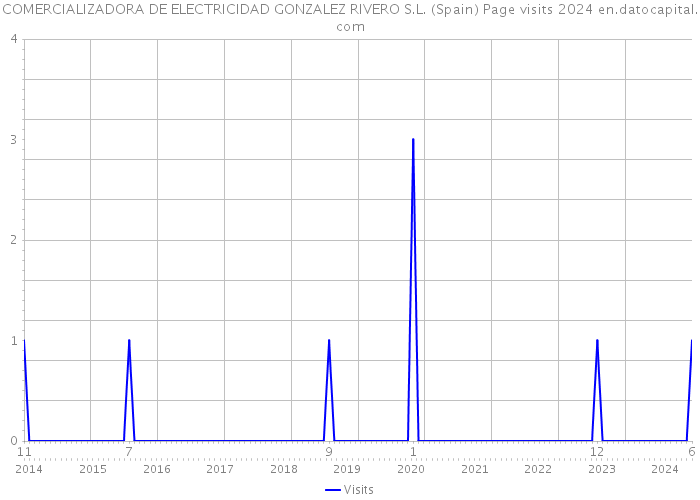 COMERCIALIZADORA DE ELECTRICIDAD GONZALEZ RIVERO S.L. (Spain) Page visits 2024 