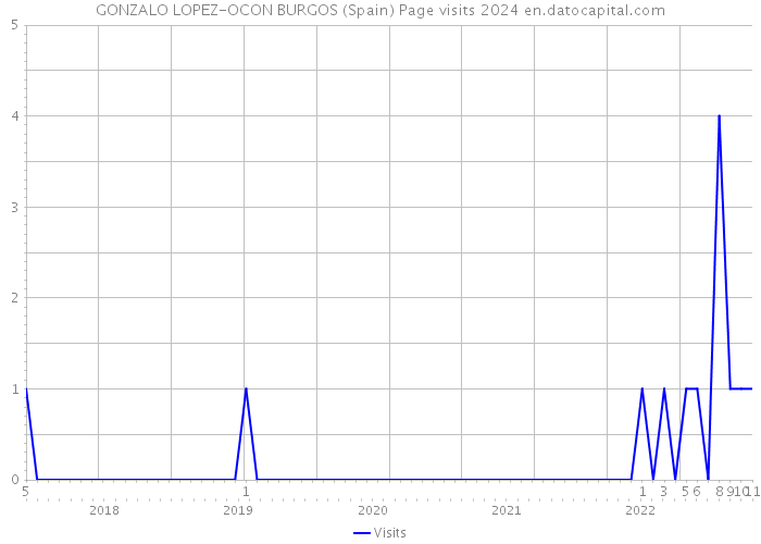 GONZALO LOPEZ-OCON BURGOS (Spain) Page visits 2024 