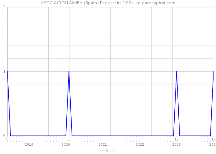 ASOCIACION AMIBA (Spain) Page visits 2024 