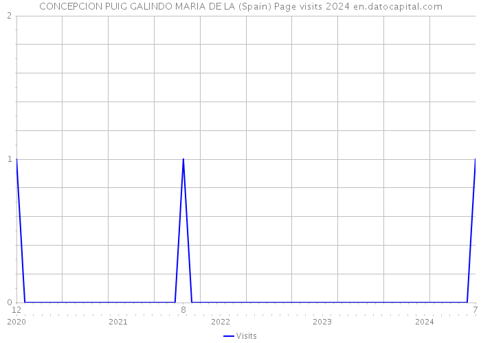 CONCEPCION PUIG GALINDO MARIA DE LA (Spain) Page visits 2024 