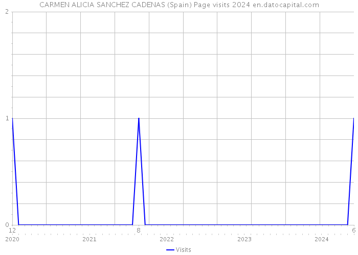 CARMEN ALICIA SANCHEZ CADENAS (Spain) Page visits 2024 