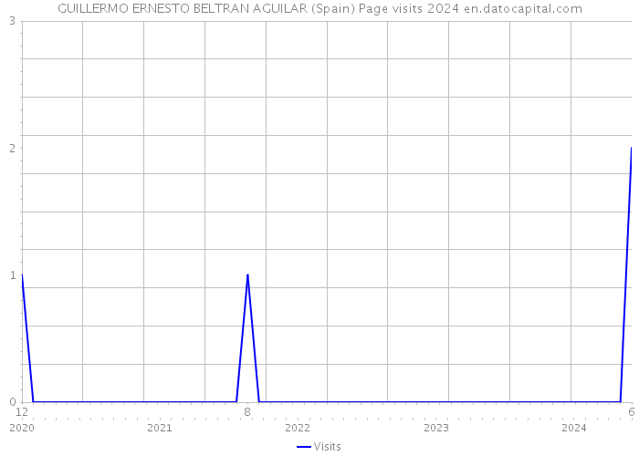 GUILLERMO ERNESTO BELTRAN AGUILAR (Spain) Page visits 2024 