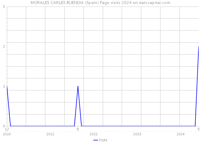 MORALES CARLES BUENDIA (Spain) Page visits 2024 