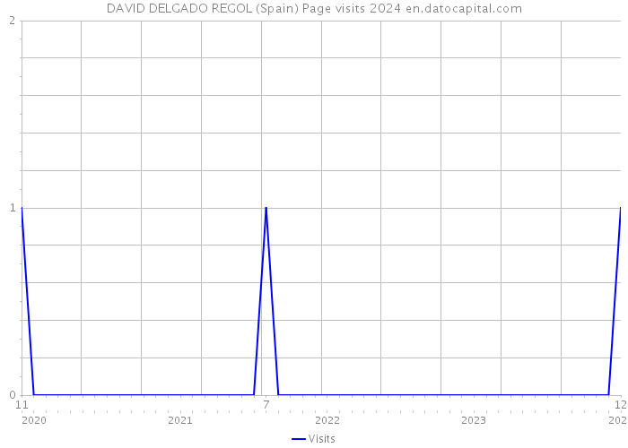 DAVID DELGADO REGOL (Spain) Page visits 2024 