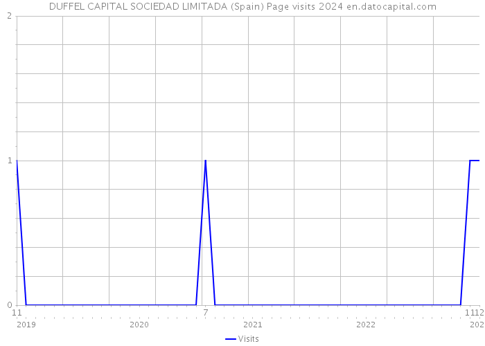 DUFFEL CAPITAL SOCIEDAD LIMITADA (Spain) Page visits 2024 