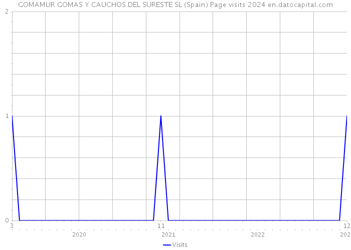 GOMAMUR GOMAS Y CAUCHOS DEL SURESTE SL (Spain) Page visits 2024 
