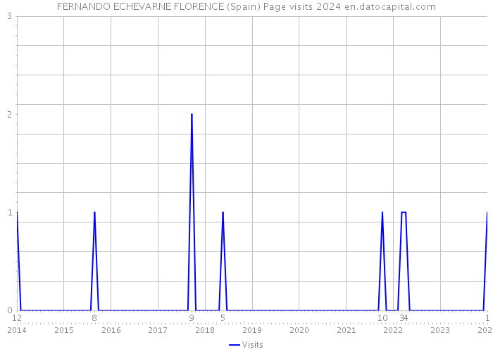 FERNANDO ECHEVARNE FLORENCE (Spain) Page visits 2024 
