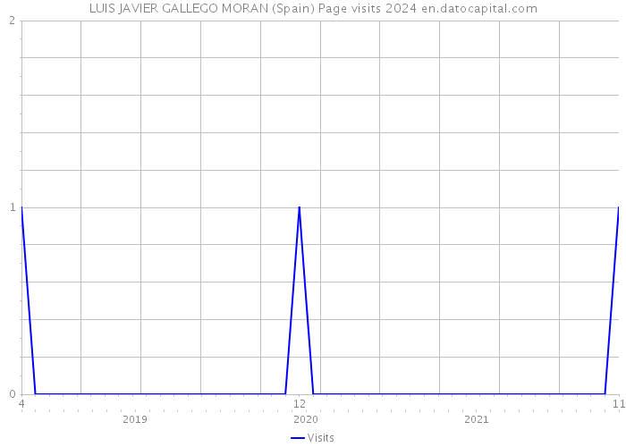 LUIS JAVIER GALLEGO MORAN (Spain) Page visits 2024 