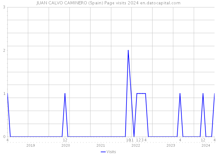 JUAN CALVO CAMINERO (Spain) Page visits 2024 