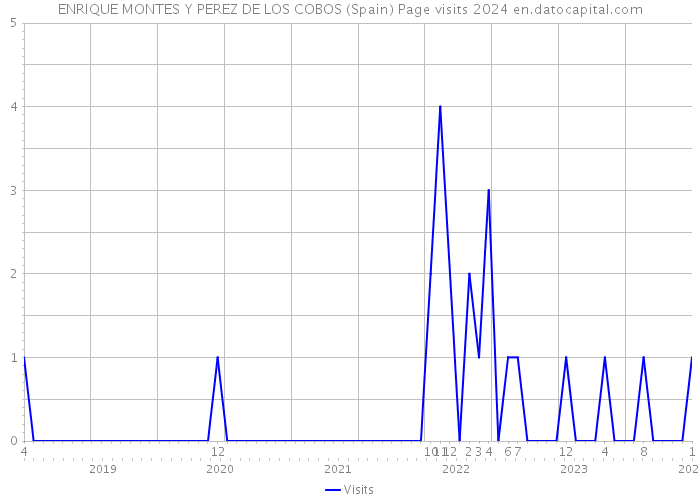 ENRIQUE MONTES Y PEREZ DE LOS COBOS (Spain) Page visits 2024 