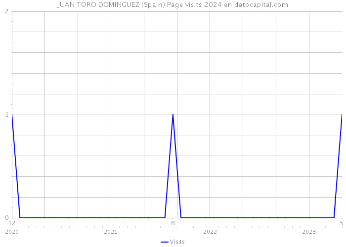 JUAN TORO DOMINGUEZ (Spain) Page visits 2024 