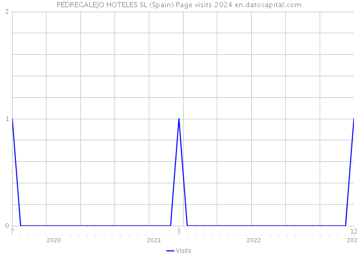 PEDREGALEJO HOTELES SL (Spain) Page visits 2024 