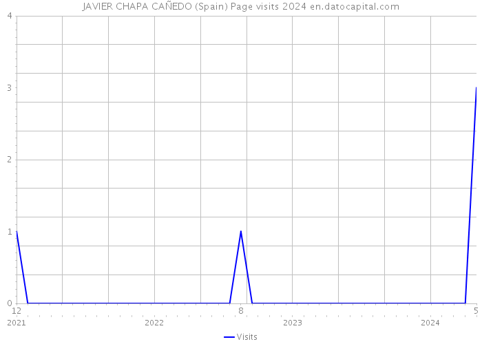JAVIER CHAPA CAÑEDO (Spain) Page visits 2024 