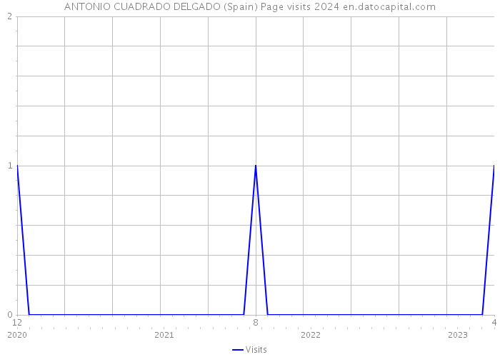 ANTONIO CUADRADO DELGADO (Spain) Page visits 2024 