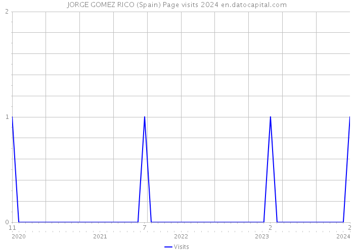 JORGE GOMEZ RICO (Spain) Page visits 2024 