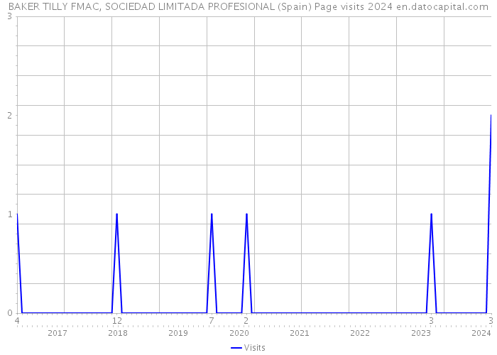BAKER TILLY FMAC, SOCIEDAD LIMITADA PROFESIONAL (Spain) Page visits 2024 