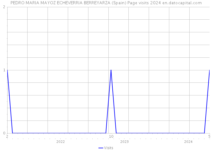 PEDRO MARIA MAYOZ ECHEVERRIA BERREYARZA (Spain) Page visits 2024 