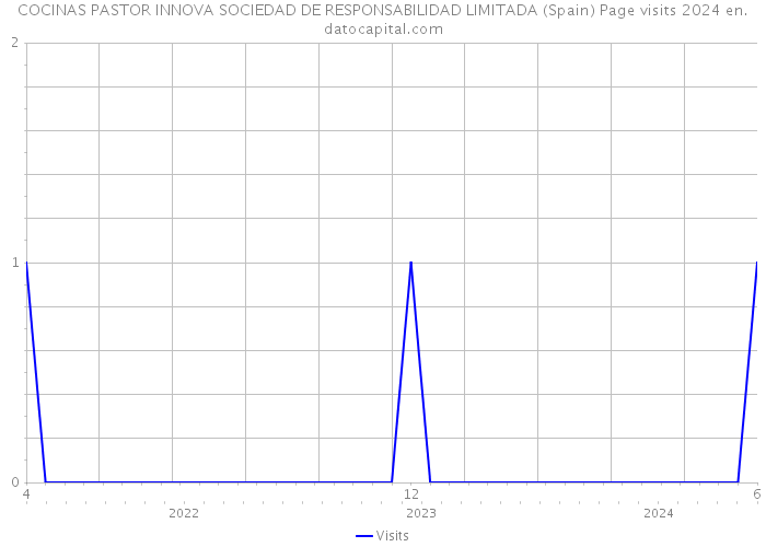COCINAS PASTOR INNOVA SOCIEDAD DE RESPONSABILIDAD LIMITADA (Spain) Page visits 2024 