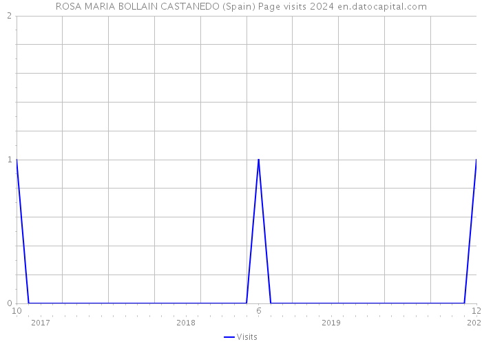 ROSA MARIA BOLLAIN CASTANEDO (Spain) Page visits 2024 