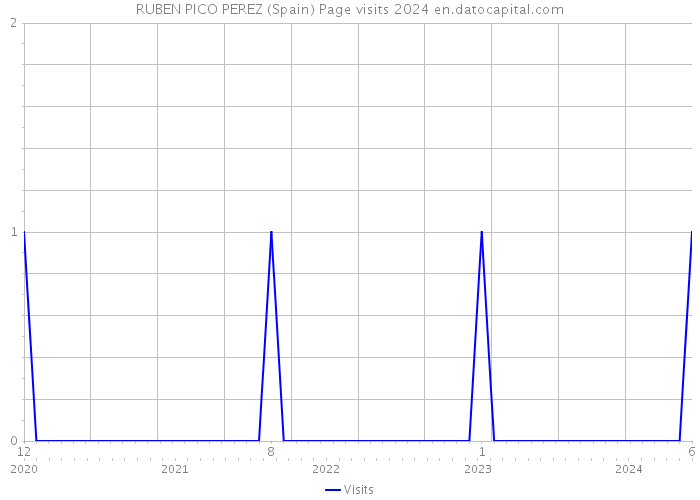 RUBEN PICO PEREZ (Spain) Page visits 2024 