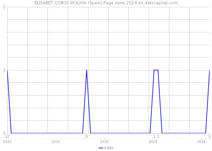 ELISABET COBOS MOLINA (Spain) Page visits 2024 