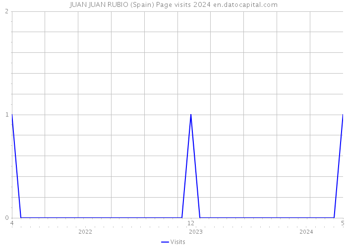 JUAN JUAN RUBIO (Spain) Page visits 2024 