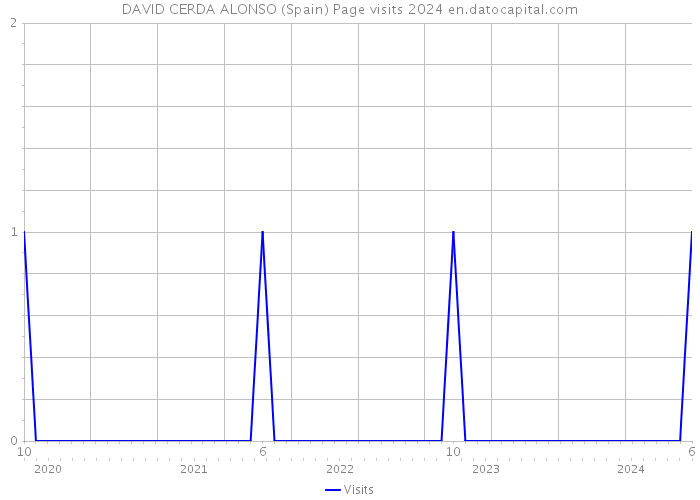 DAVID CERDA ALONSO (Spain) Page visits 2024 