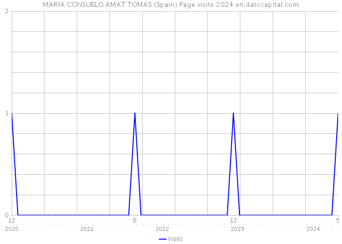 MARIA CONSUELO AMAT TOMAS (Spain) Page visits 2024 