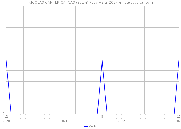 NICOLAS GANTER CAJIGAS (Spain) Page visits 2024 