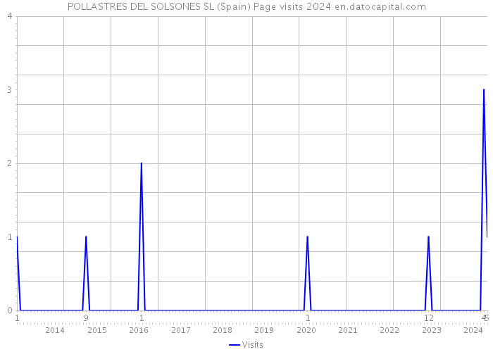 POLLASTRES DEL SOLSONES SL (Spain) Page visits 2024 
