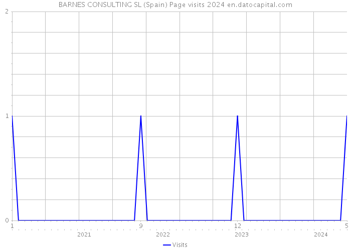 BARNES CONSULTING SL (Spain) Page visits 2024 