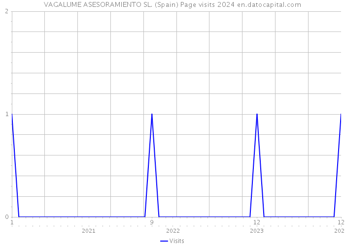 VAGALUME ASESORAMIENTO SL. (Spain) Page visits 2024 