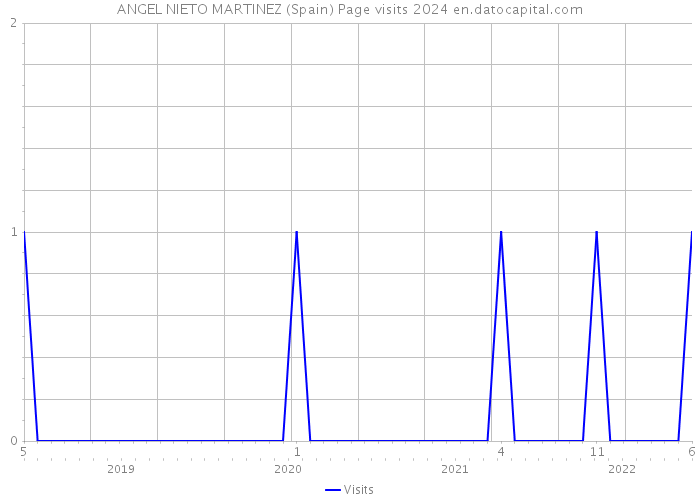 ANGEL NIETO MARTINEZ (Spain) Page visits 2024 