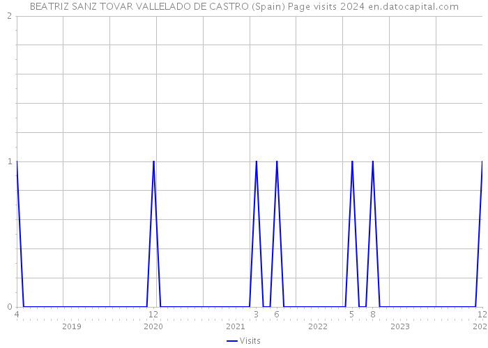 BEATRIZ SANZ TOVAR VALLELADO DE CASTRO (Spain) Page visits 2024 