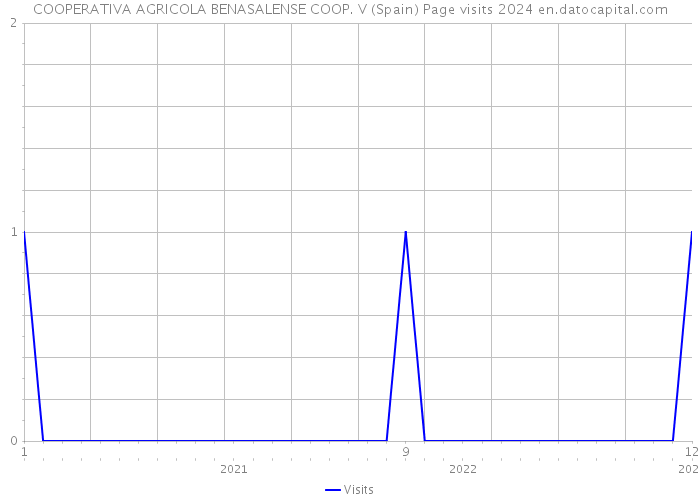 COOPERATIVA AGRICOLA BENASALENSE COOP. V (Spain) Page visits 2024 