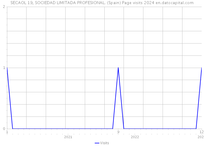 SECAOL 19, SOCIEDAD LIMITADA PROFESIONAL. (Spain) Page visits 2024 