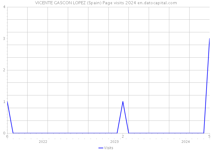VICENTE GASCON LOPEZ (Spain) Page visits 2024 