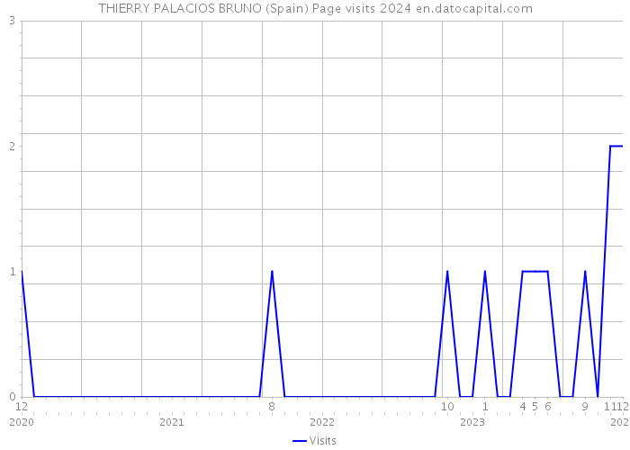 THIERRY PALACIOS BRUNO (Spain) Page visits 2024 