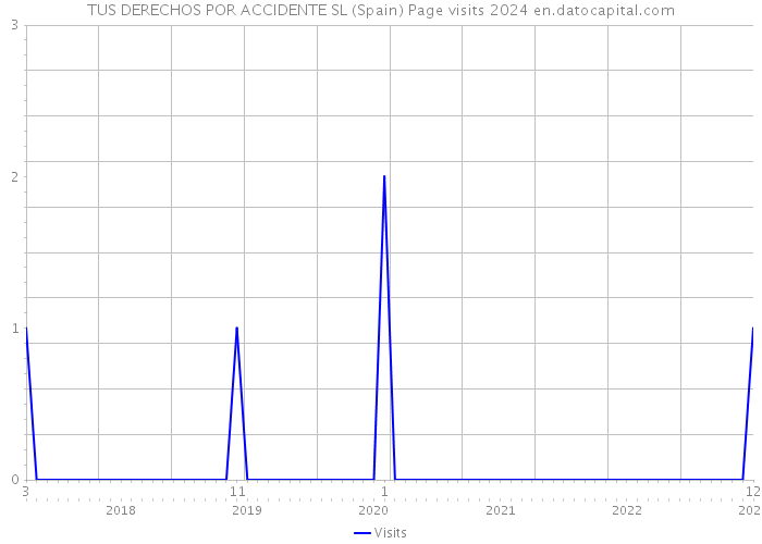 TUS DERECHOS POR ACCIDENTE SL (Spain) Page visits 2024 