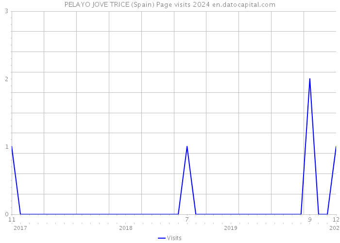 PELAYO JOVE TRICE (Spain) Page visits 2024 