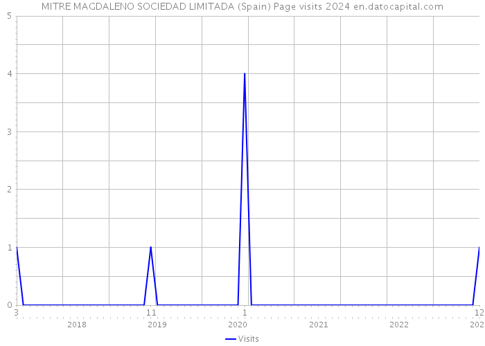 MITRE MAGDALENO SOCIEDAD LIMITADA (Spain) Page visits 2024 
